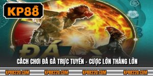 Cách Chơi Đá Gà Trực Tuyến - Cược Lớn Thắng Lớn