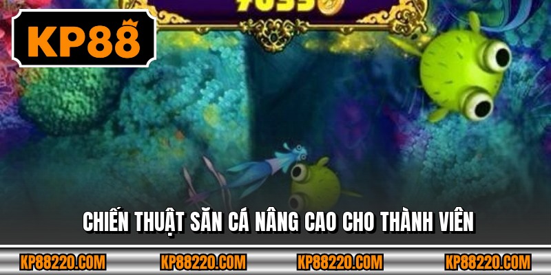 Chiến thuật săn cá nâng cao cho thành viên