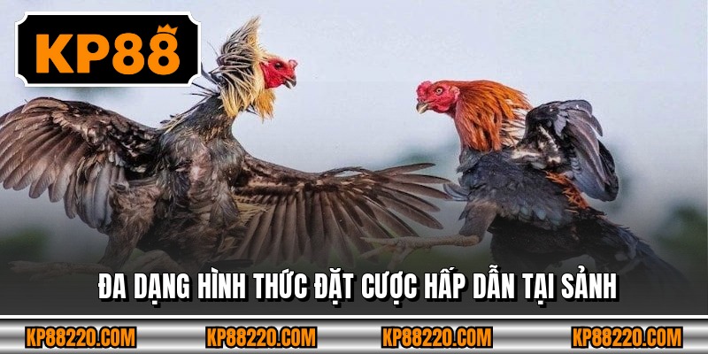 Đa dạng hình thức đặt cược hấp dẫn tại sảnh