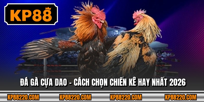 Đá Gà Cựa Dao - Cách Chọn Chiến Kê Hay Nhất 2026