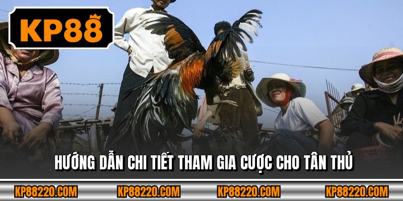 Hướng dẫn chi tiết tham gia cược cho tân thủ