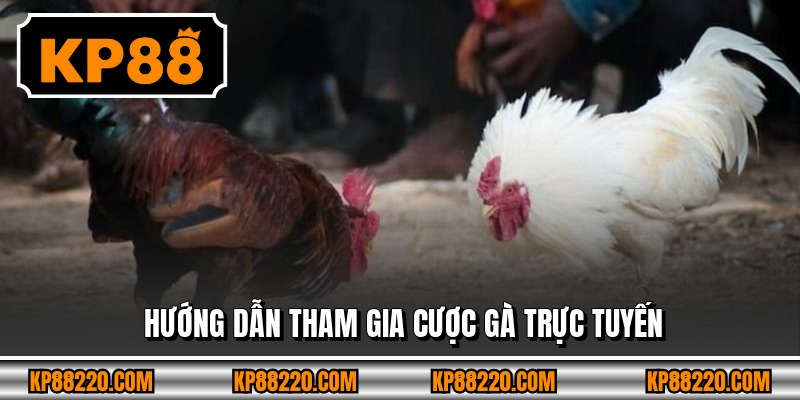 Hướng dẫn tham gia cược gà trực tuyến